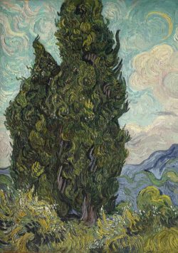 VINCENT VAN GOGH Cypresses Poster Print