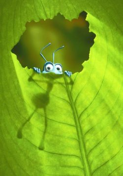A BUG'S LIFE Poster Print