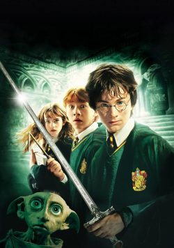 Harry Potter & the Chamber of Secrets ...& the Chamber of Secrets Poster Print
