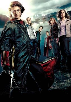 Harry Potter & the Goblet of Fire ...& the Goblet of Fire Poster Print