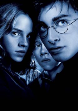 Harry Potter & the Goblet of Fire Harry,  Hermione & Ron Poster Print