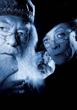 Harry Potter & the Goblet of Fire Dumbledore & Minerva McGonagall Poster Print