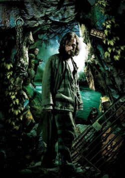 Harry Potter & the Goblet of Fire Sirius Black Poster Print