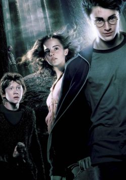 Harry Potter & the Goblet of Fire Group Poster Print