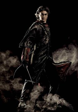 Harry Potter & the Goblet of Fire Harry Potter (Daniel Radcliffe) Poster Print