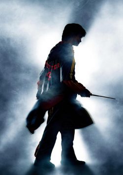 Harry Potter & the Goblet of Fire Harry Potter Silhouette Poster Print