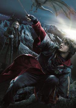 Harry Potter & the Goblet of Fire Harry & Dragon Poster