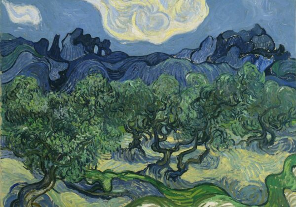 VINCENT VAN GOGH Olive Trees Poster Print