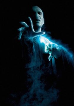 Harry Potter & the Order of the Phoenix Lord Voldemort Poster Print
