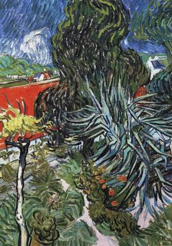 VINCENT VAN GOGH Doctor Gauchet`s Garden in Auvers Poster Print