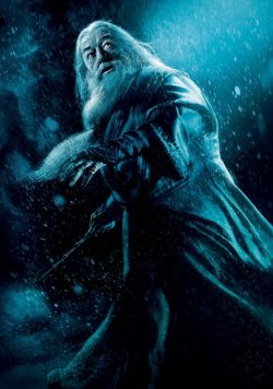 Harry Potter & the Half-Blood Prince Dumbledore Poster Print