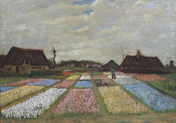 VINCENT VAN GOGH Bulb Fields Poster Print
