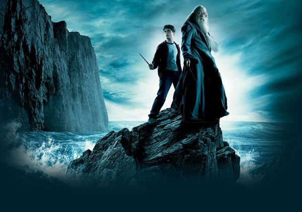 Harry Potter & the Half-Blood Prince Harry & Dumbledore Poster Print