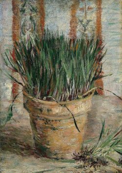 VINCENT VAN GOGH Flowerpot with Chives Poster Print