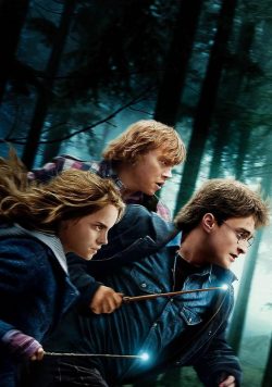 Harry Potter & the Deathly Hallows; Part I ...& the Deathly Hallows; Part I Poster Print