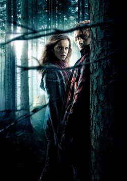 Harry Potter & the Deathly Hallows: Part I Hermoine & Ron Poster