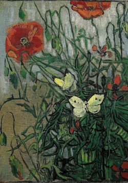 VINCENT VAN GOGH Butterflies and Poppies Poster Print