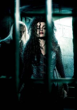 Harry Potter & the Deathly Hallows; Part I Bellatrix Lestrange (Helena Bonham Carter) Poster Print