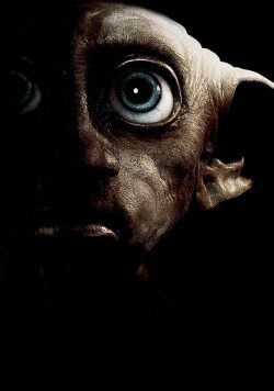 Harry Potter & The Deathly Hallows; Part I Dobby Poster Print