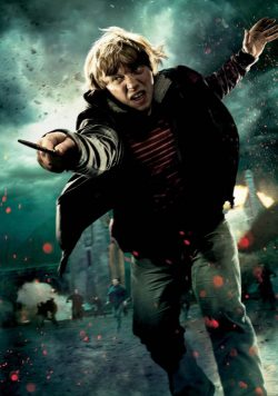 Harry Potter & the Deathly Hallows; Part 2 Ron - Wand Poster Print