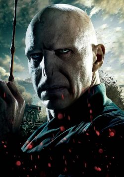 Harry Potter & the Deathly Hallows; Part 2 Voldemort Wand Poster Print