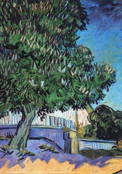 VINCENT VAN GOGH Chestnut Trees in Bloom Poster Print
