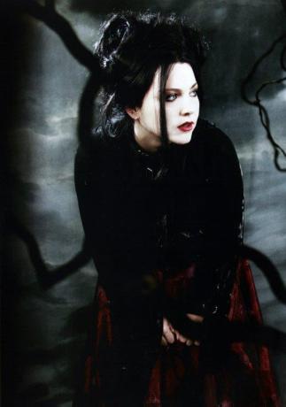 AMY LEE Evanescence Poster Print