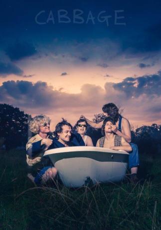 CABBAGE Young, Dumb and Full Of? Poster Print