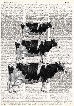 3 COWS STACKED ANTIQUARIAN Dictionary Poster Print