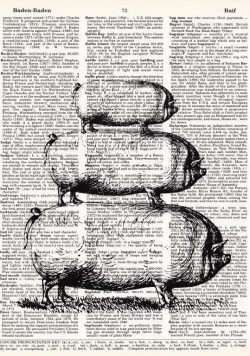 3 PIGS STACKED ANTIQUARIAN Dictionary 001 Poster