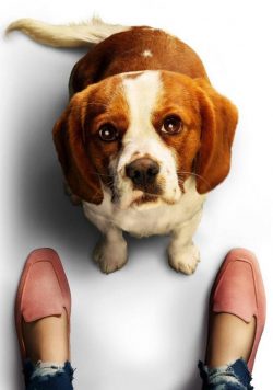 A DOGS JOURNEY Movie 2019 Poster Print
