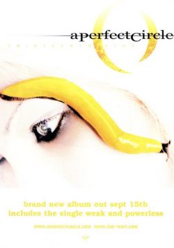 A PERFECT CIRLCE Thirteenth Step Poster Print