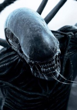 ALIEN: CONVENANT Movie Poster Print