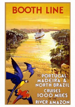 AMAZON Vintage Travel Poster Print