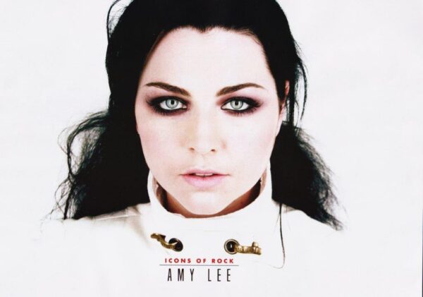AMY LEE Dream To Much Poster Print
