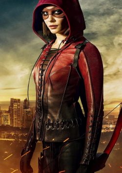 ARROW TV Show Poster Print