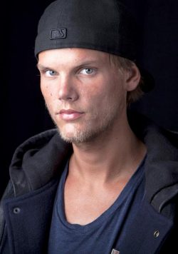 AVICII Tim Tour Poster Print