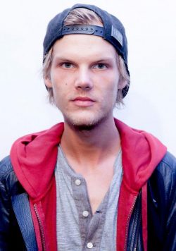 AVICII Tim Tour Poster Print