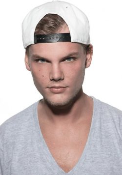 AVICII Tim Tour Poster Print