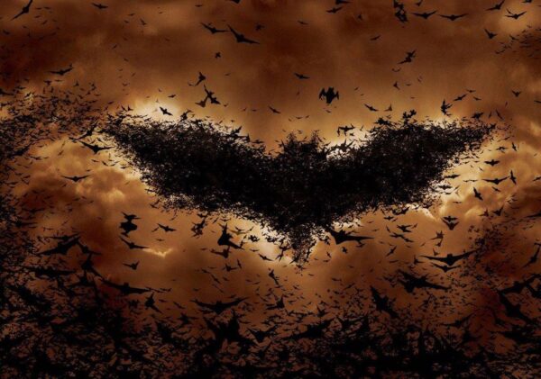 BATMAN BEGINS Movie Poster Print