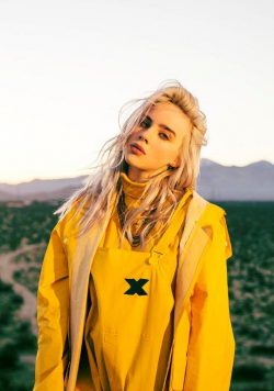 BILLIE EILISH Don't Smile at Me Poster