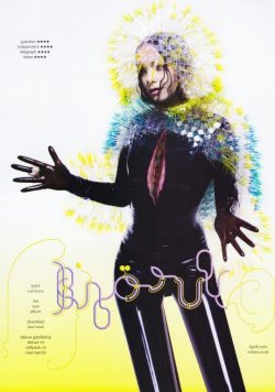 BJORK Vulnicura Poster