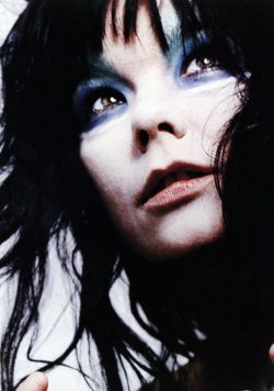 BJORK Vulnicura Poster
