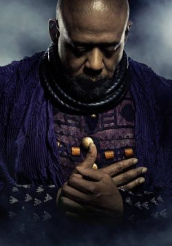 BLACK PANTHER Movie Poster Print