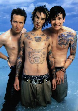 BLINK 182 Enema Of The State Poster Print