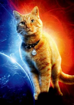 CAPTAIN MARVEL Poster Print
