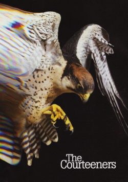 THE COURTEENERS Falcon Poster Print