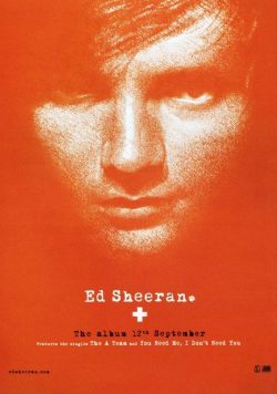 ED SHEERAN + Poster Print