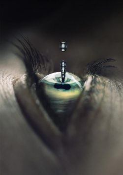 FALLING WATER TV Show Poster Print