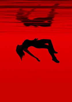 FALLING WATER TV Show Poster Print